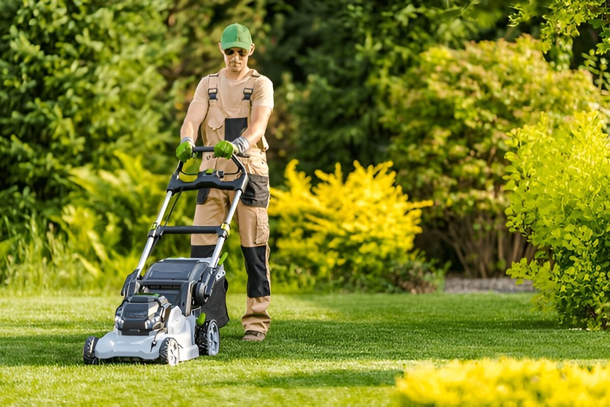 Support - workers - for -gardening