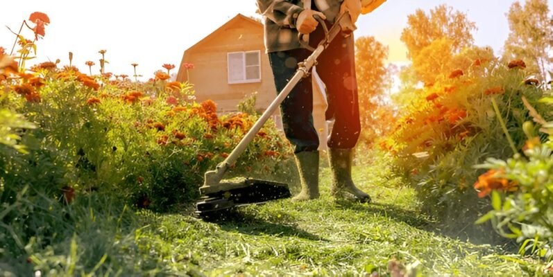 NDIS Gardening Assistance