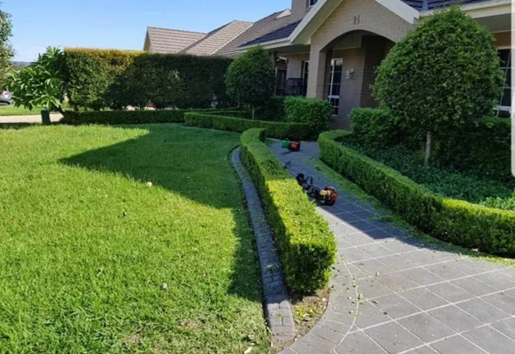 Subsidised lawn mowing for disabled