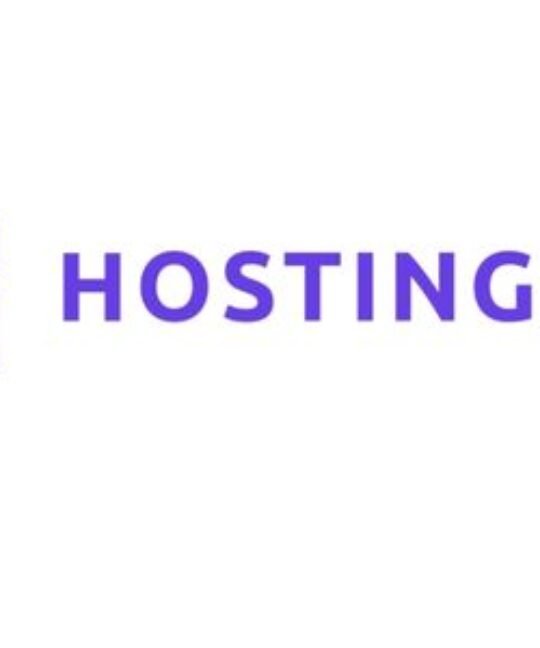 Website owner securely granting Hostinger account access to a team member for website hosting and account management.