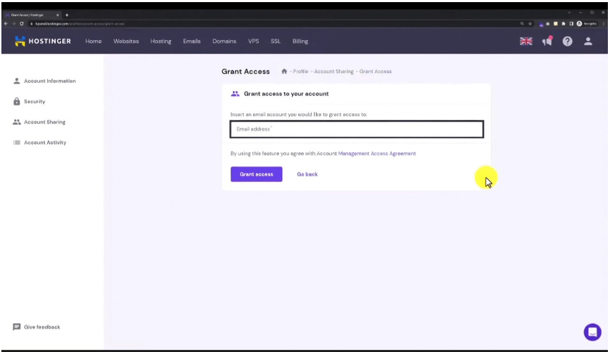 How to Give Access to Your Hostinger Account