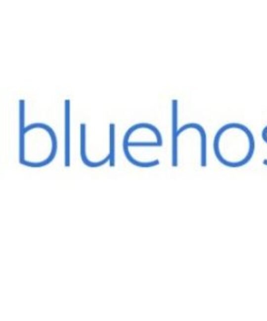 Bluehost account dashboard interface showing user access settings for managing website hosting and permissions.