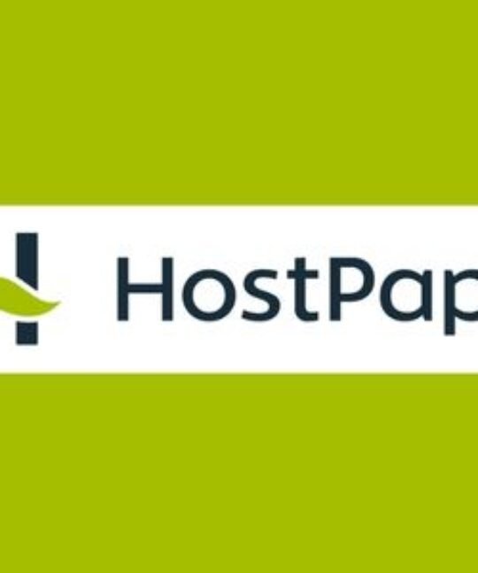 Business professional securely granting HostPapa account access to a team member for website management and hosting administration.