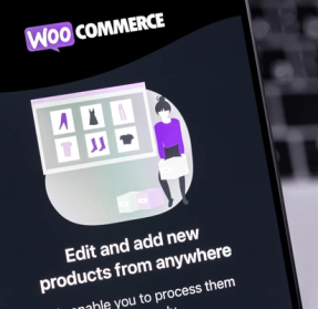 codifyformatter - 2026-03-09T130449.537